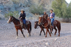 we-offer-img-01-391x252-2